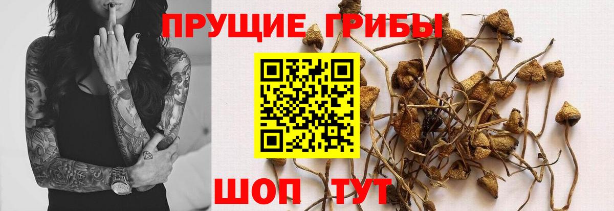 Галлюциногенные грибы MAGIC MUSHROOMS Ялта